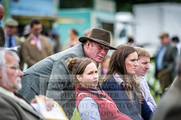 Builth Hound Show 2016-23