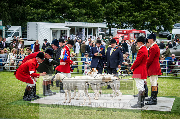 Builth Hound Show 2016-186