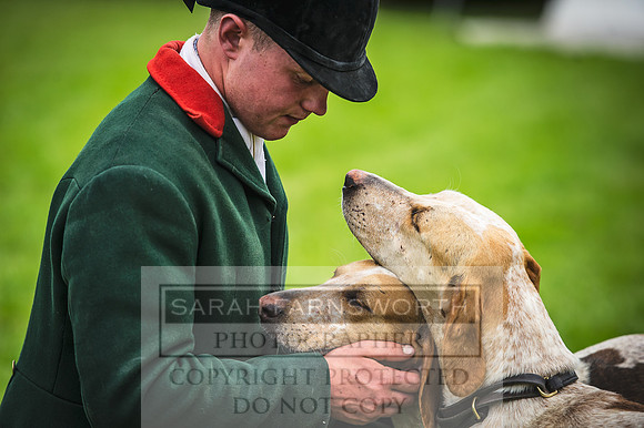 Builth Hound Show 2016-155