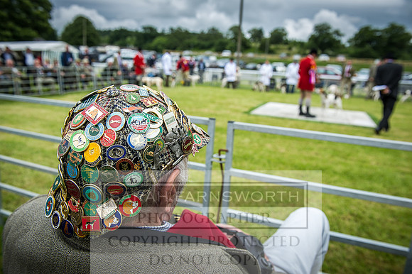 Builth Hound Show 2016-170