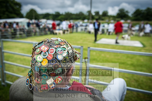 Builth Hound Show 2016-168