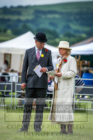 Builth Hound Show 2016-19