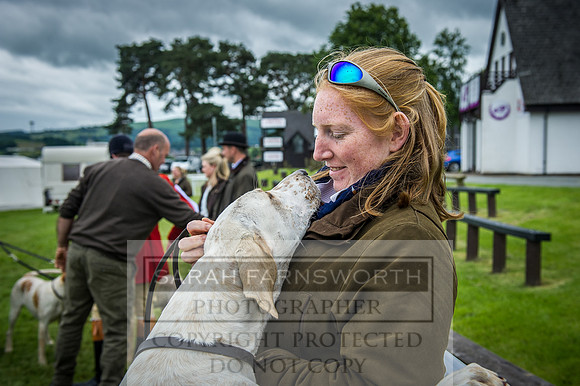 Builth Hound Show 2016-227
