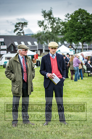 Builth Hound Show 2016-97