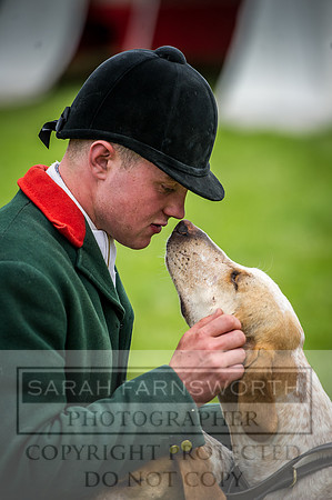 Builth Hound Show 2016-151