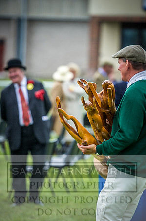 Builth Hound Show 2016-318