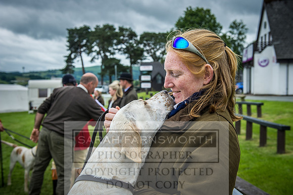 Builth Hound Show 2016-228