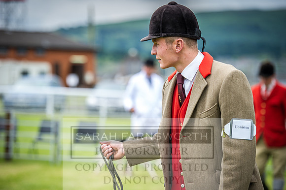 Builth Hound Show 2016-24