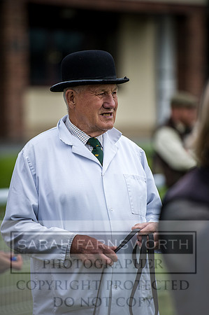 Builth Hound Show 2016-42