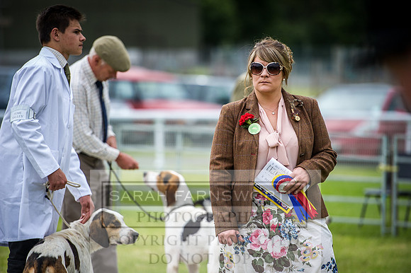 Builth Hound Show 2016-26