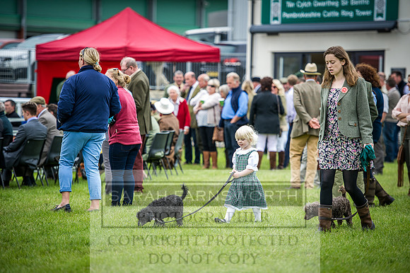 Builth Hound Show 2016-101