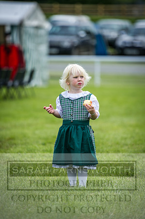 Builth Hound Show 2016-12