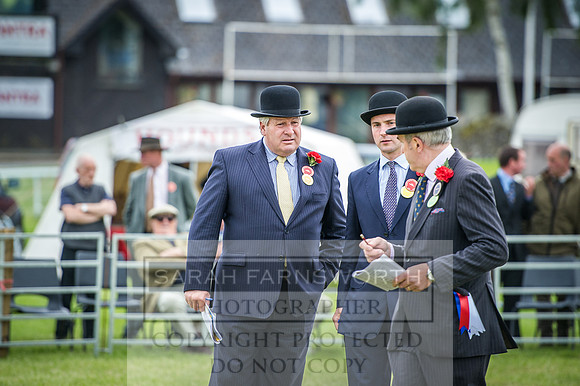 Builth Hound Show 2016-254