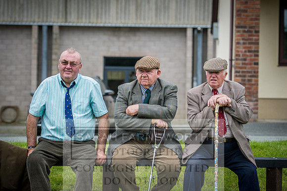 Builth Hound Show 2016-201