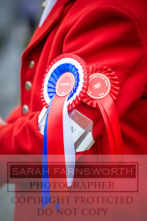 Builth Hound Show 2016-239