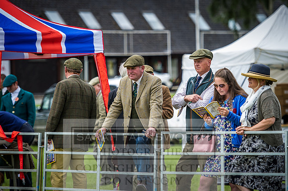 Builth Hound Show 2016-79