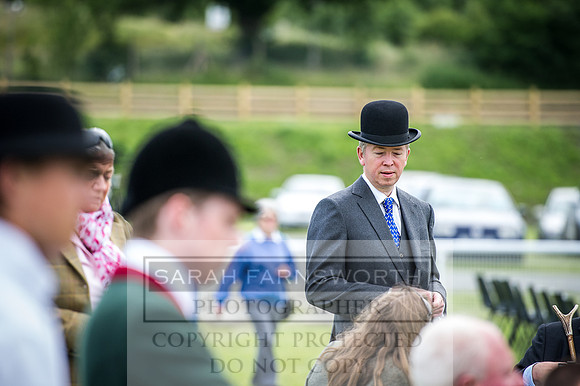 Builth Hound Show 2016-14
