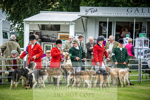 Builth Hound Show 2016-100