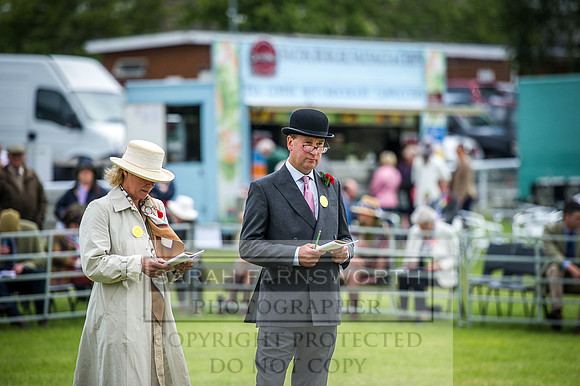 Builth Hound Show 2016-18