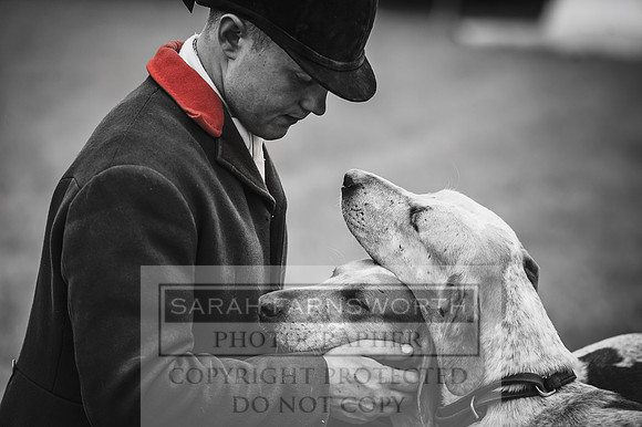 Builth Hound Show 2016-153