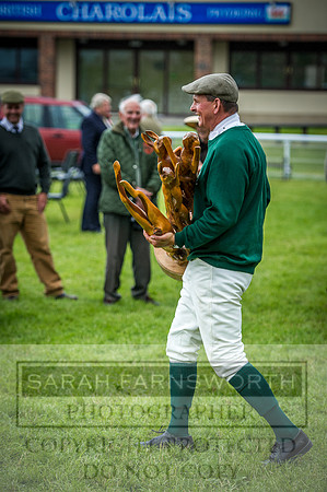 Builth Hound Show 2016-317