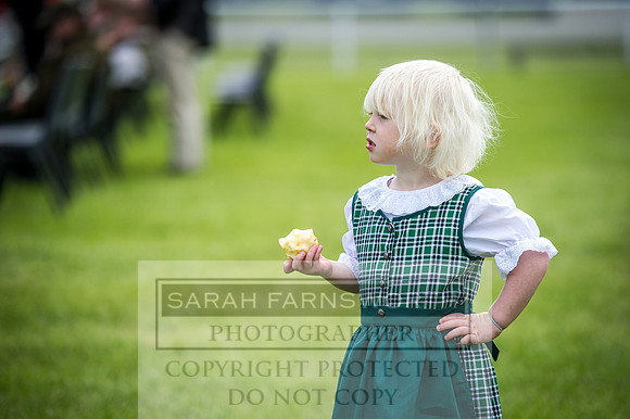 Builth Hound Show 2016-11