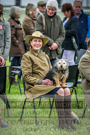 Builth Hound Show 2016-302