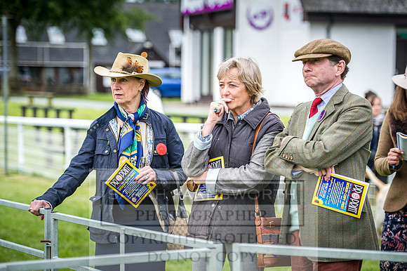 Builth Hound Show 2016-37