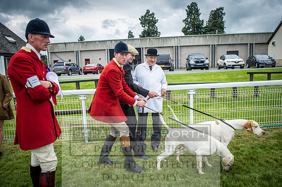Builth Hound Show 2016-210