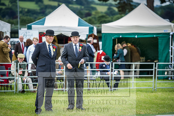 Builth Hound Show 2016-57