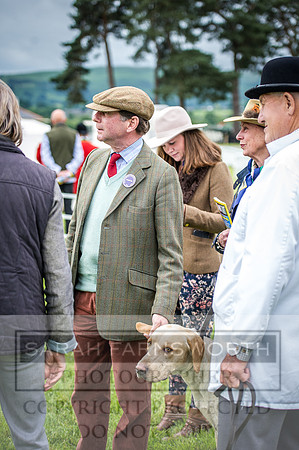 Builth Hound Show 2016-34