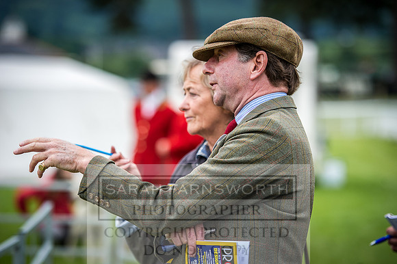 Builth Hound Show 2016-36