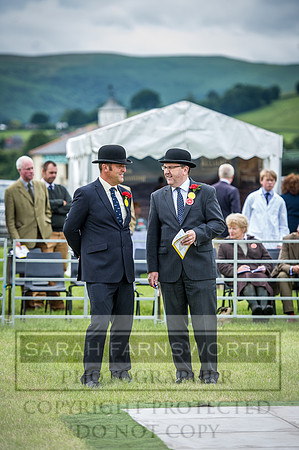 Builth Hound Show 2016-58