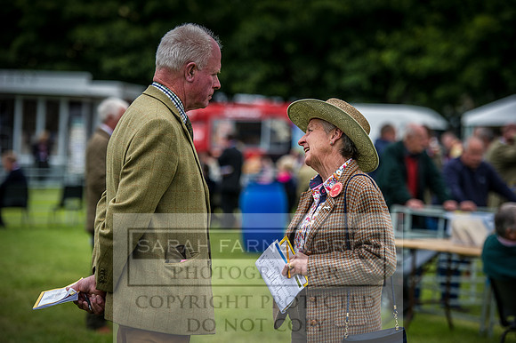 Builth Hound Show 2016-171