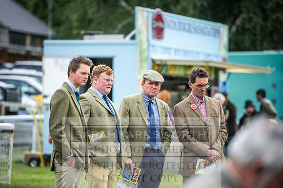 Builth Hound Show 2016-20