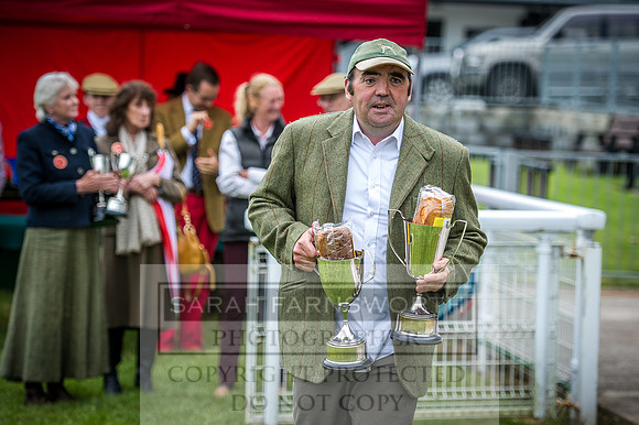 Builth Hound Show 2016-290