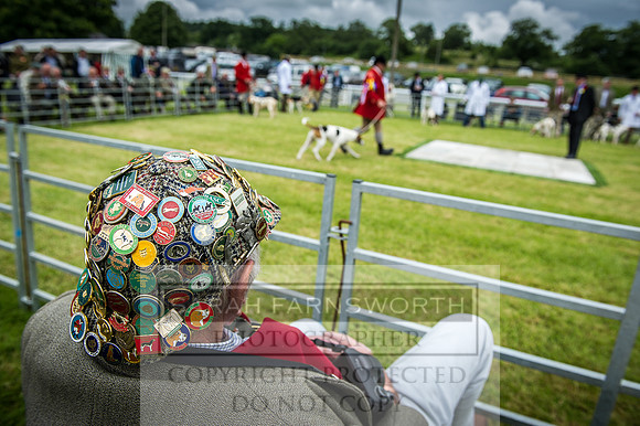 Builth Hound Show 2016-172