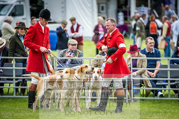 Builth Hound Show 2016-94