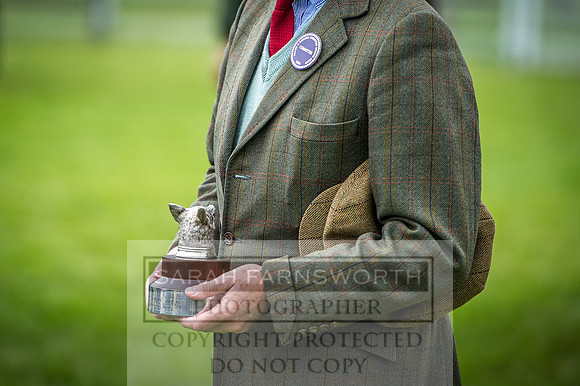 Builth Hound Show 2016-276