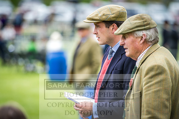 Builth Hound Show 2016-39