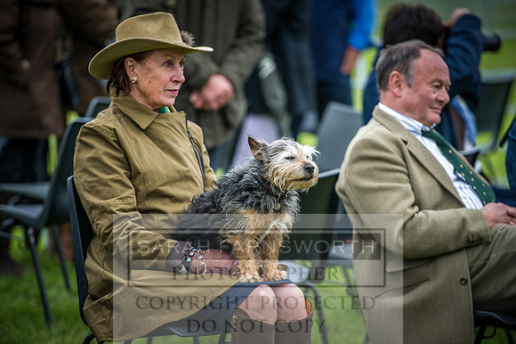 Builth Hound Show 2016-304