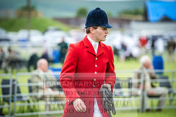 Builth Hound Show 2016-21