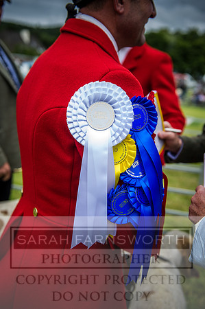 Builth Hound Show 2016-149