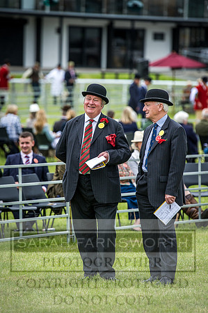 Builth Hound Show 2016-169