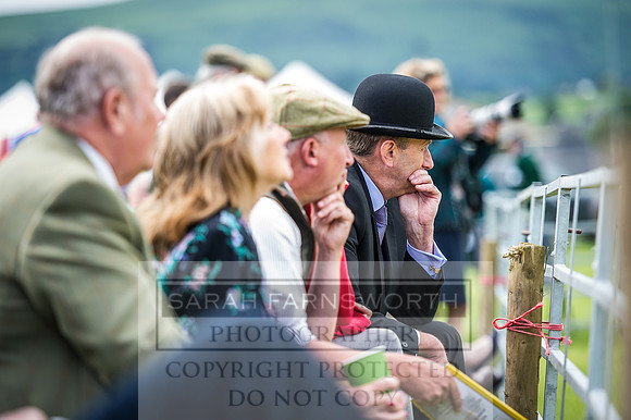 Builth Hound Show 2016-10