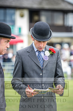 Builth Hound Show 2016-55