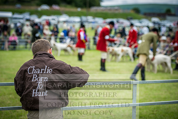 Builth Hound Show 2016-223
