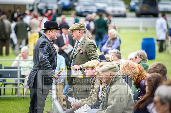 Builth Hound Show 2016-40