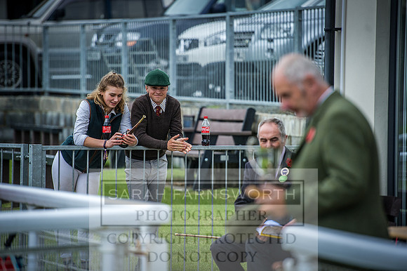 Builth Hound Show 2016-315