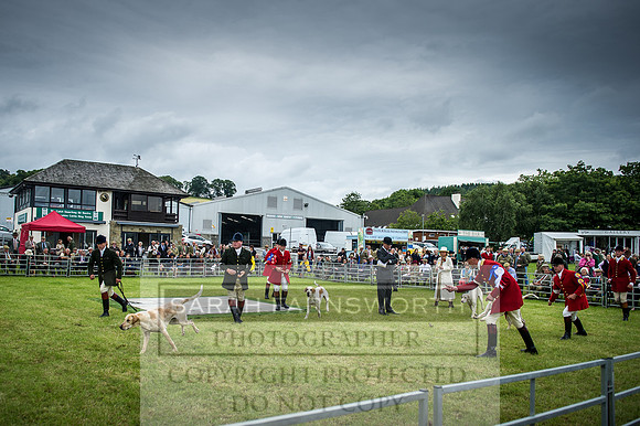 Builth Hound Show 2016-105
